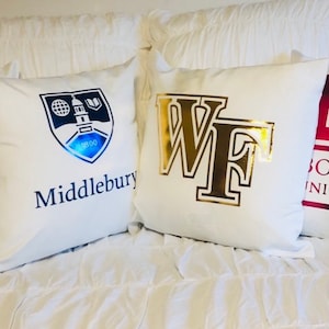 College Decor. College Dorm Room. Personalized College Pillows. Decorative Pillow. Pillow cover. Pillow covers. Throw pillow.