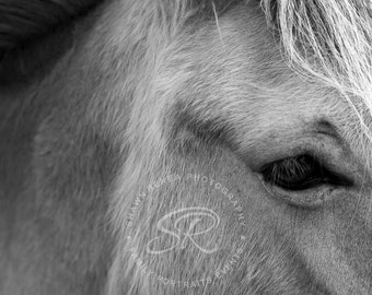 I See You, Fine Art Photograph