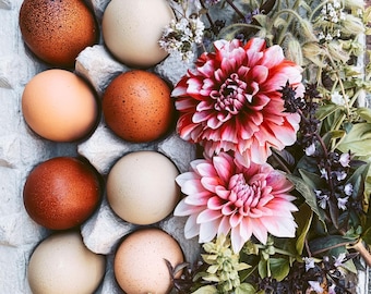May include: A carton of colorful eggs, with varying shades of brown, tan, and cream, is displayed alongside vibrant pink and white dahlias and greenery. The text "A Homesteader's Guide to Colorful Eggs" and "The Rainbow Coop" are visible.
