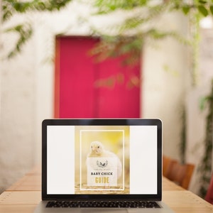 May include: A laptop displaying a "Baby Chick Guide" graphic. The guide features a fluffy yellow chick inside a white frame with text. The laptop sits on a light wood table, with a blurred background of greenery and a pink door.