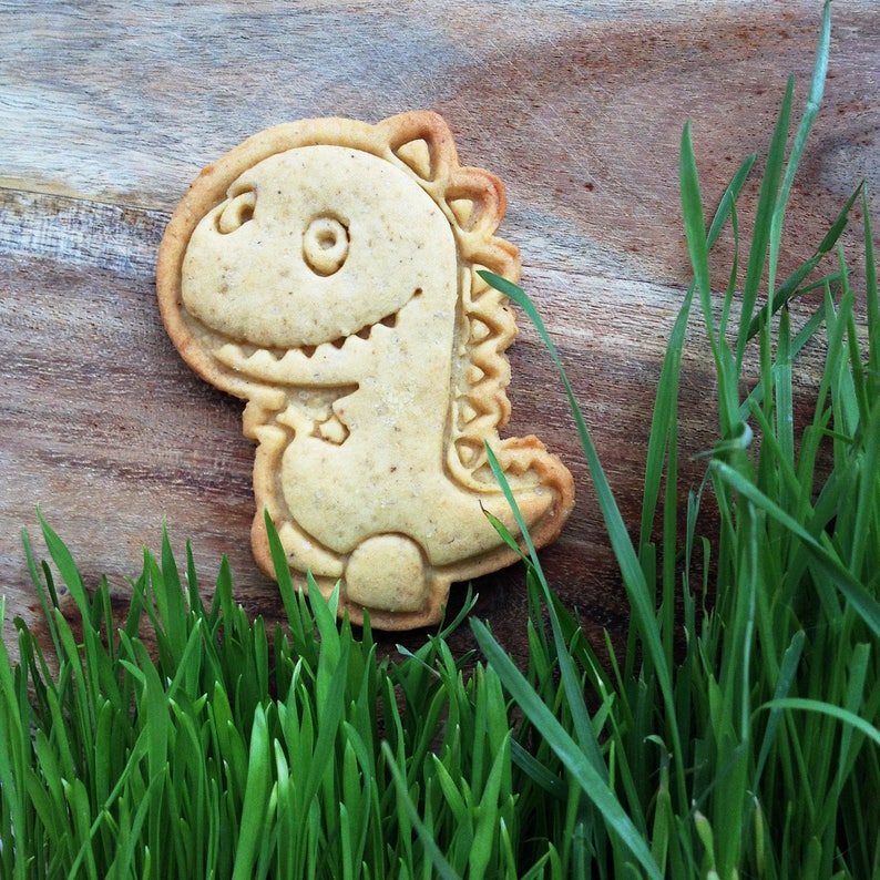 Tyrannosaurus Rex Cookie Cutter. Dinosaur Cookie Stamp. Animal Etsy