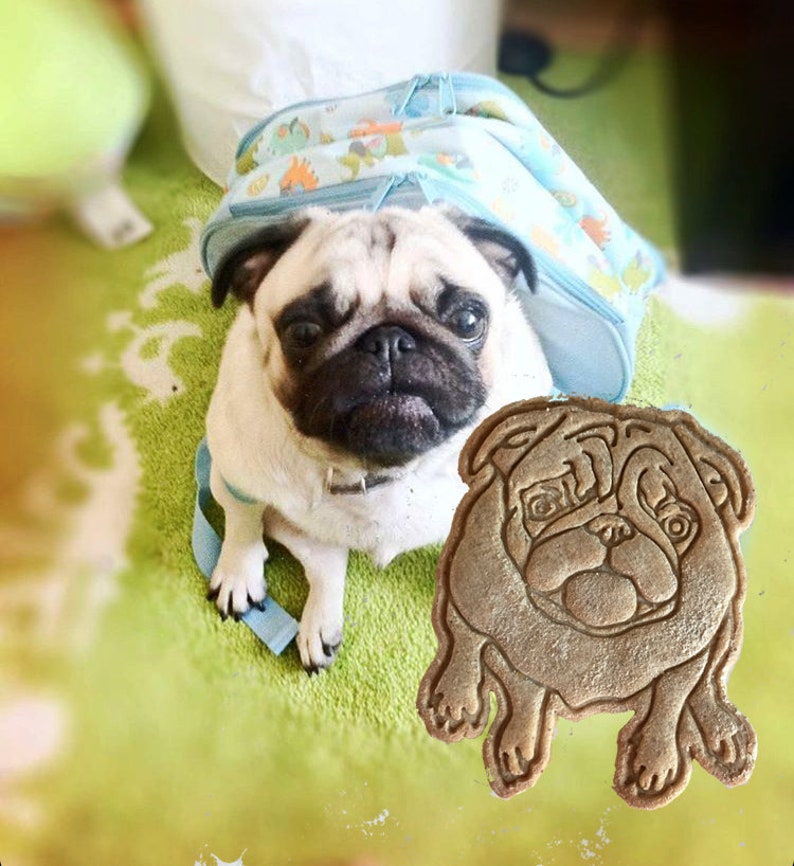 Pet portrait cookie cutter Personalized cookies Your cat portrait design cookie cutter Custom dog cookie stamp clay stamp Play-doh mold