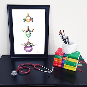 Medical Anatomy Art- Stunning Watercolour Vertebrae PRINT