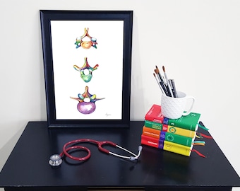 Medical Anatomy Art- Stunning Watercolour Vertebrae PRINT
