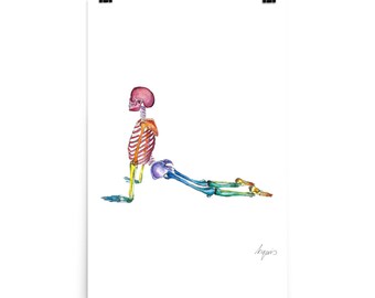 Medical Anatomy Art- Stunning Watercolour Up Dog Pose Yoga PRINT