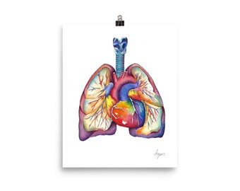 Medical Anatomy Art- Stunning Watercolour Heart and Lung PRINT