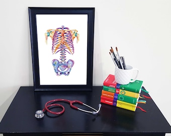 Medical Anatomy Art- Stunning Watercolour Axial Skeleton PRINT