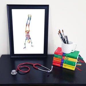 Medical Anatomy Art- Stunning Watercolour Handstand Skeleton PRINT