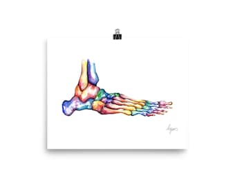 Medical Anatomy Art- Stunning Watercolour Rainbow Foot and Ankle PRINT