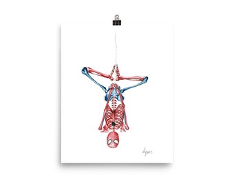 Medical Anatomy Art- Stunning Watercolour Spiderman PRINT