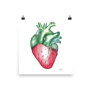 Medical Anatomy Art- Stunning Watercolour Strawberry Heart PRINT