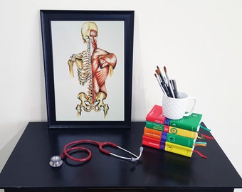 Medical Anatomy Art -Print of Watercolour - Posterior Muscles and Skeleton Active
