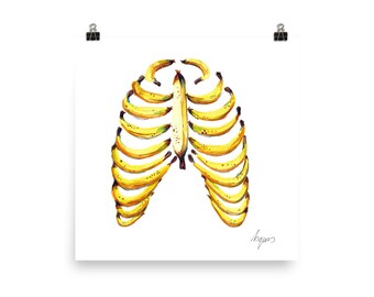 Medical Anatomy Art- Stunning Watercolour Banana Ribcage PRINT