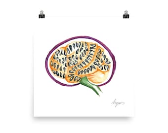 Medical Anatomy Art- Stunning Watercolour Passionfruit Brain PRINT