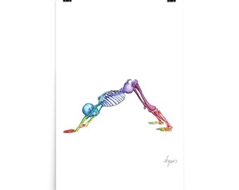Medical Anatomy Art- Stunning Watercolour Down Dog Pose Yoga PRINT