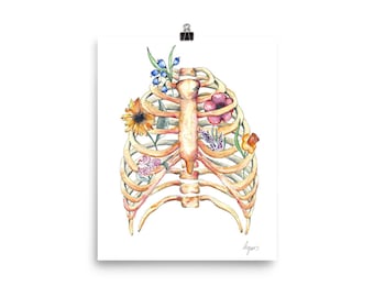 Medical Anatomy Art- Stunning Watercolour Flower ribcage PRINT