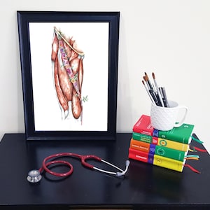 Medische anatomie Art - prachtige aquarel dij spieren PRINT