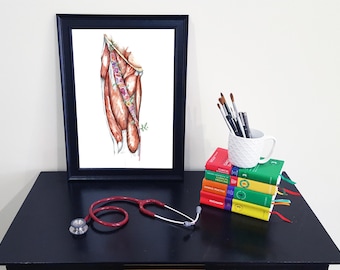 Medical Anatomy Art- Stunning Watercolour Thigh Musculature PRINT