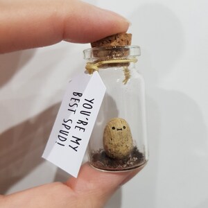 May include: A small glass jar with a cork lid contains a peanut with a painted face. A white tag attached to the jar reads "You're my best spud!"