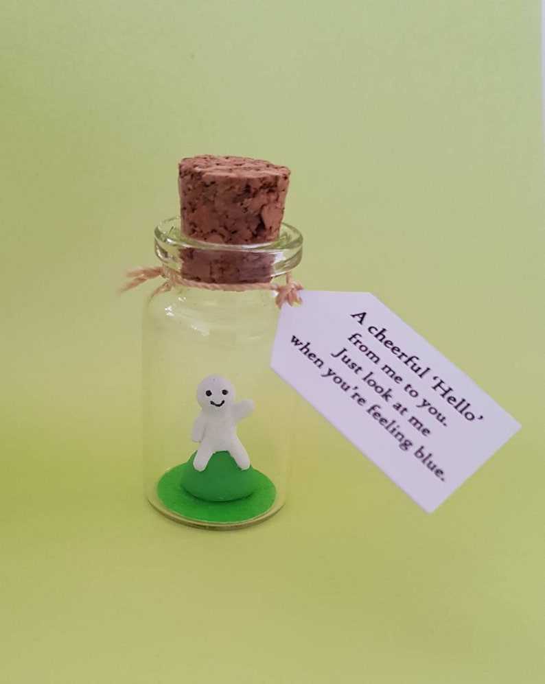 Say hi, hello gift, Cheer up gift, positive gift,friend loved one, isolation anxiety, hug in post box, miniature bottle image 4