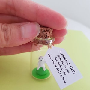 Say hi, hello gift, Cheer up gift, positive gift,friend loved one, isolation anxiety, hug in post box, miniature bottle image 3