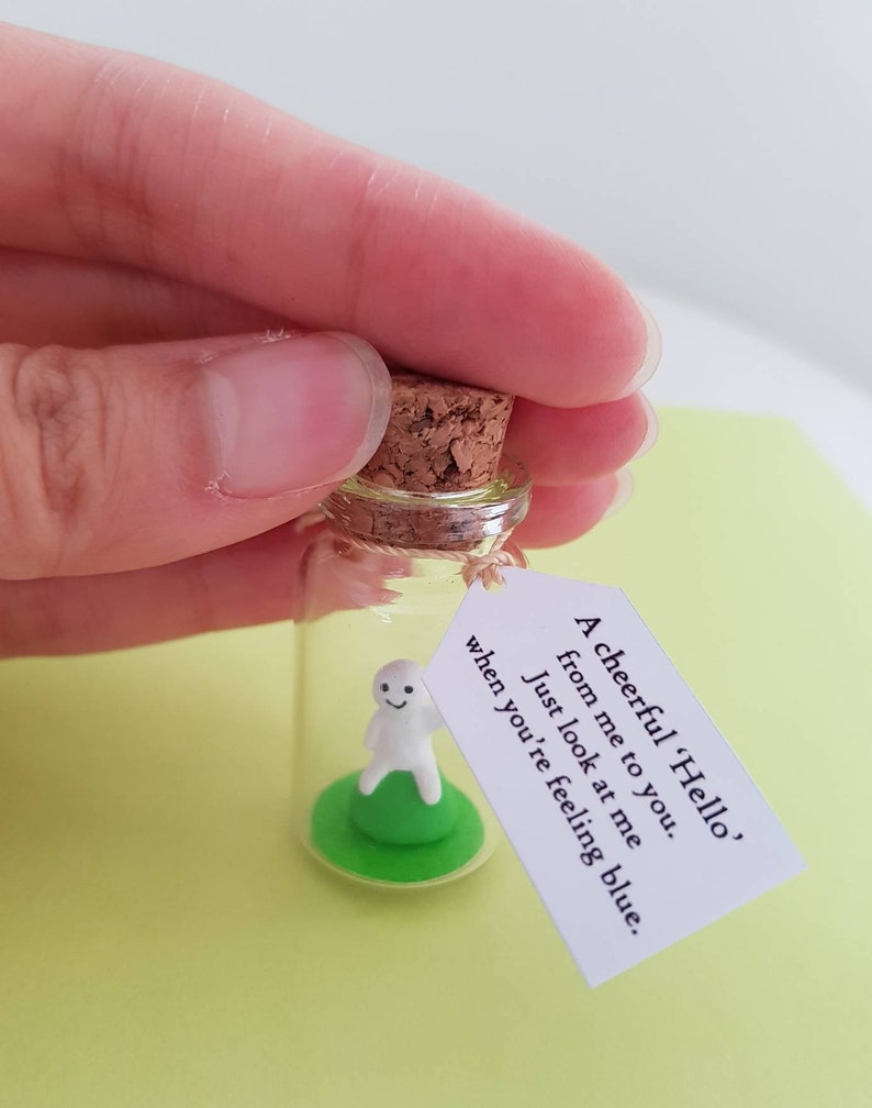 Say hi, hello gift, Cheer up gift, positive gift,friend loved one, isolation anxiety, hug in post box, miniature bottle image 3