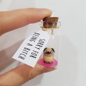 Sorry for being a bitch, funny apology gift, apology card tag, sorry forgive me, I was a bitch, I'm a idiot, my fault, olive branch