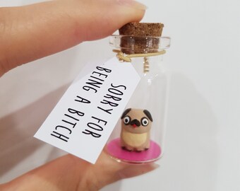 Sorry for being a bitch, funny apology gift, apology card tag, sorry forgive me, I was a bitch, I'm a idiot, my fault, olive branch