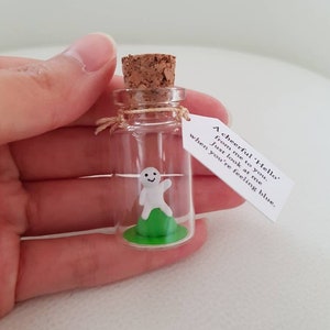 Say hi, hello gift, Cheer up gift, positive gift,friend loved one, isolation anxiety, hug in post box, miniature bottle image 1