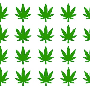 35 Adesivi Foglia di Cannabis, Decalcomania di erba, sigilli di invito, adesivo a tema marijuana, adesivi per la coppa di partito, festa con la testa del vaso, decalcomania rimovibile in erba