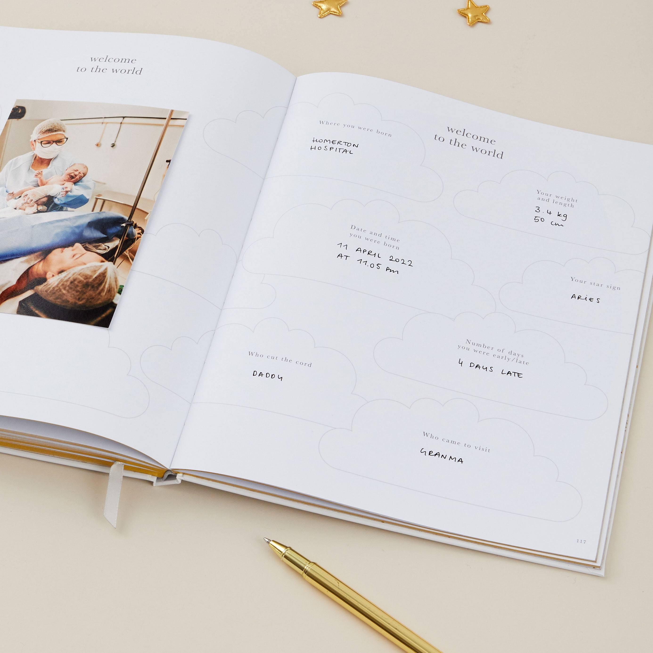 My Pregnancy Journal, Expectant Mother Gift, Pregnancy Planner - Pearl - gift for parents to be, pregnancy record book w/gilded edges