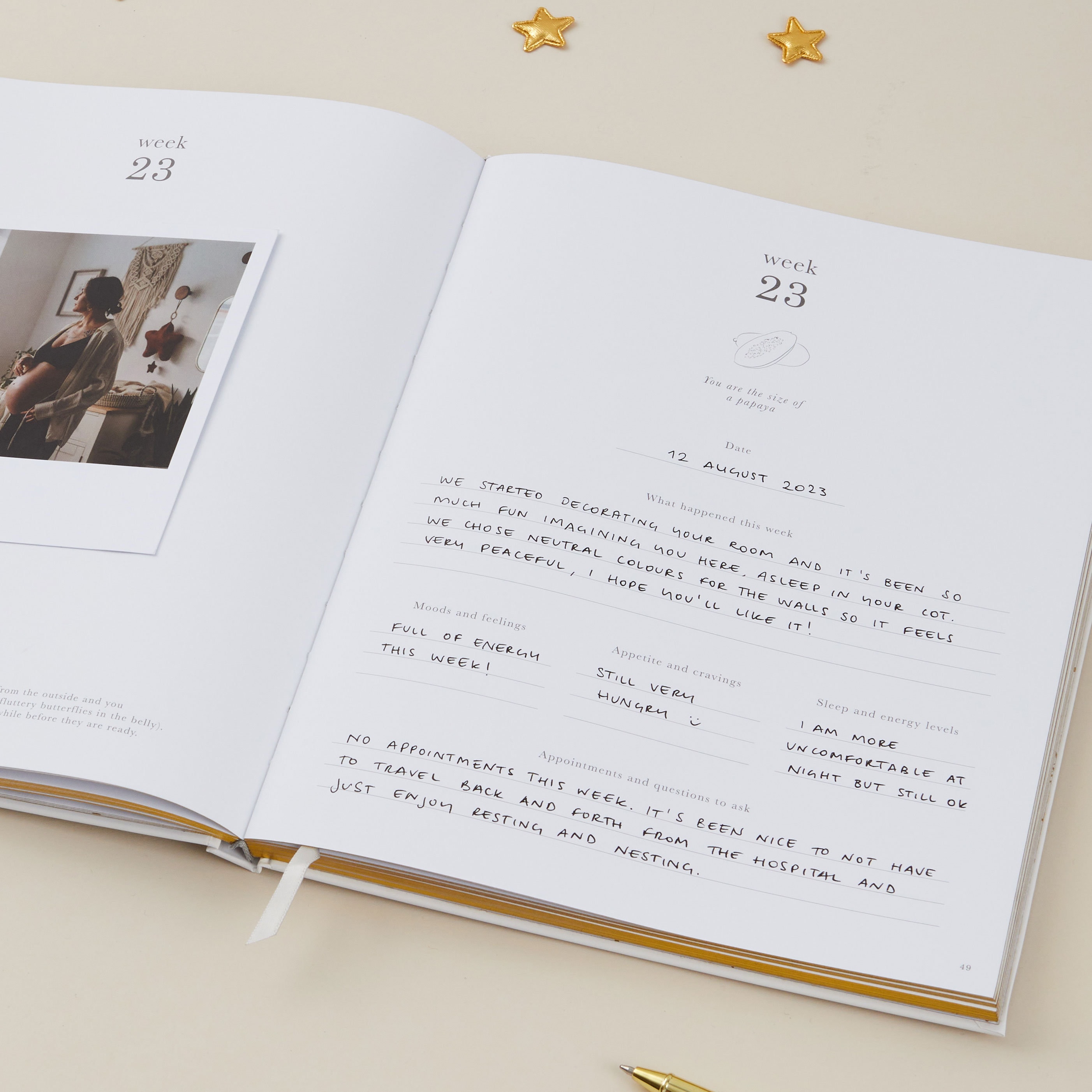 My Pregnancy Journal, Expectant Mother Gift, Pregnancy Planner - Pearl - gift for parents to be, pregnancy record book w/gilded edges