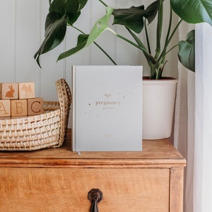 Pu&ograve; includere: Un diario grigio chiaro con la scritta in oro "my pregnancy journal" sulla copertina. Il diario &egrave; appoggiato su una cassettiera di legno con un cesto di blocchi di legno davanti.