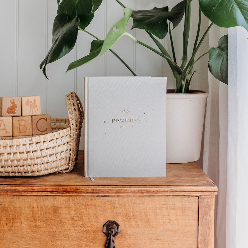 Pu&ograve; includere: Un diario grigio chiaro con la scritta in oro "my pregnancy journal" sulla copertina. Il diario &egrave; appoggiato su una cassettiera di legno con un cesto di blocchi di legno davanti.