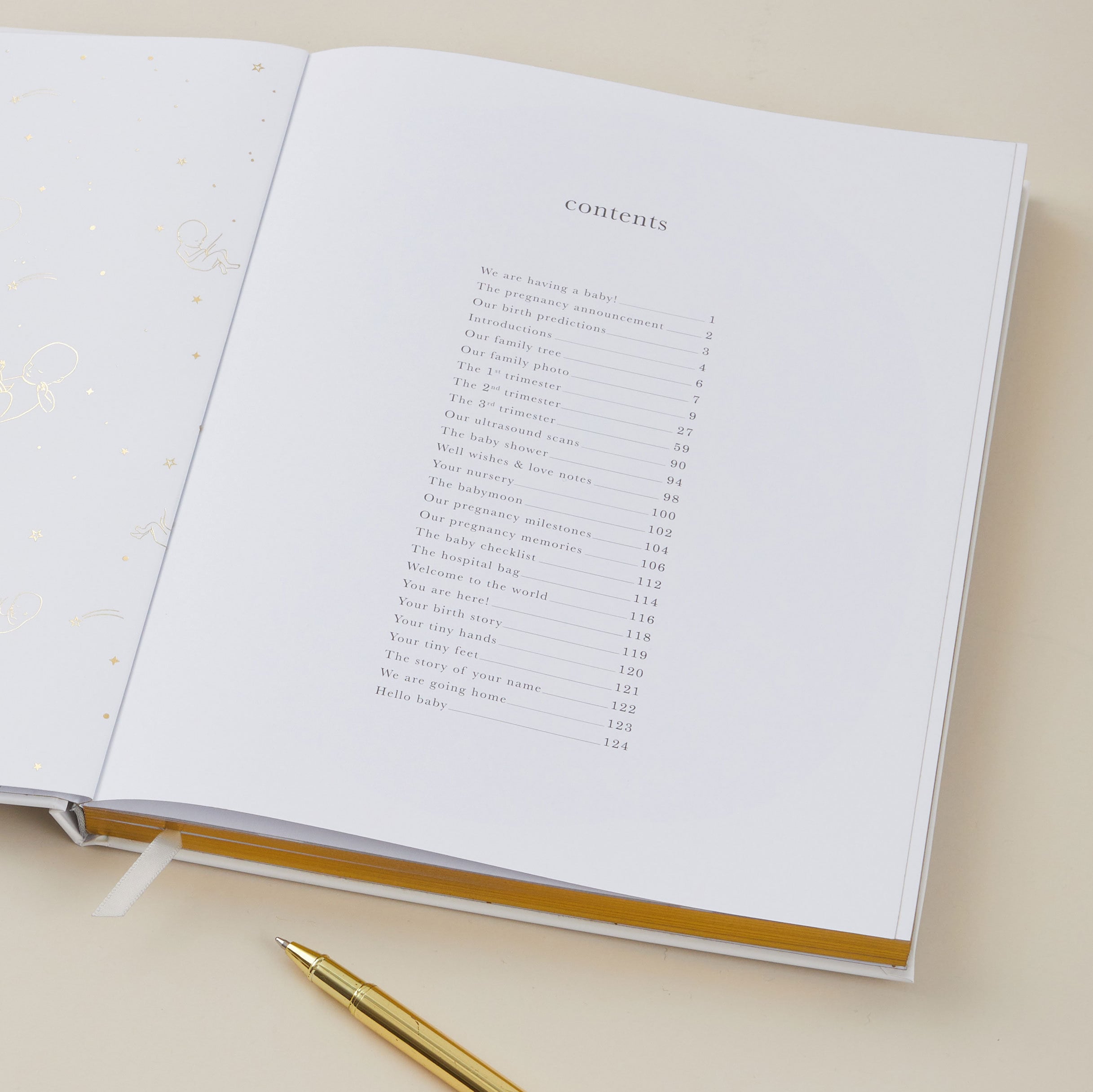 My Pregnancy Journal, Expectant Mother Gift, Pregnancy Planner - Pearl - gift for parents to be, pregnancy record book w/gilded edges