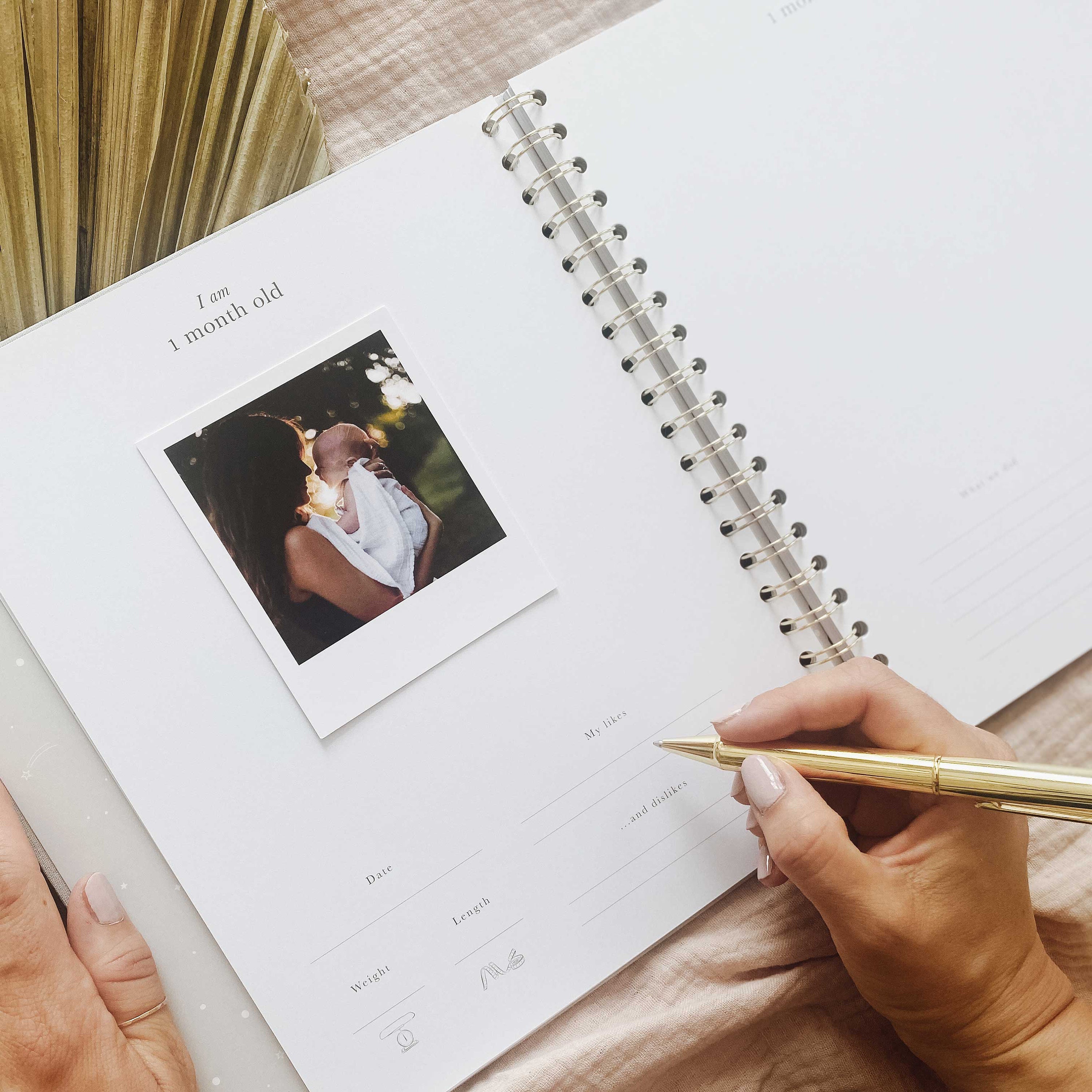 My Baby Book Baby Memory Book Safari Keepsake Memory Etsy UK