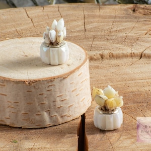 Miniature Potted Plant in White Gem with Buds for 1:12 Scale Dollhouse Miniature