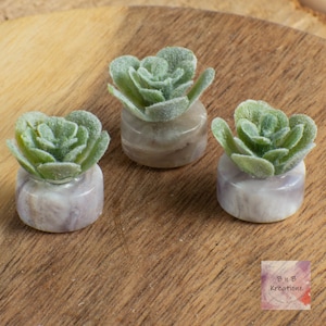 May include: Three small artificial succulent plants in gray stone pots. The succulents are green and have a fuzzy texture. The pots are round and have a marbled pattern.