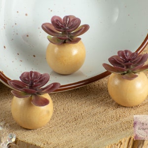 Puede incluir: Tres pequeñas plantas suculentas decorativas. Cada planta presenta una suculenta de color burdeos sobre una pequeña base esférica de madera clara. Las plantas están dispuestas sobre una superficie de madera cerca de un cuenco blanco y marrón moteado.