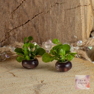 May include: Two small potted plants with green leaves and brown pots. The pots are round and have a textured surface. The plants are sitting on a wooden surface.