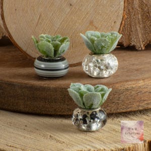 May include: Three miniature succulent plants in decorative pots. One pot has black and gray stripes, another has a textured silver finish, and the third has a mottled silver finish. The succulents have green, textured leaves.