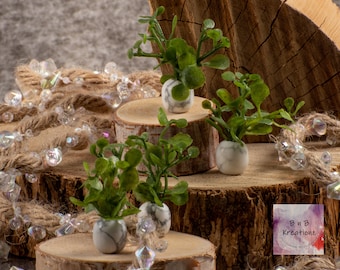 May include: Four miniature potted plants with green leaves in white marble pots. The pots are sitting on three wooden slices. The background is a brown and gray textured surface with a strand of iridescent beads.