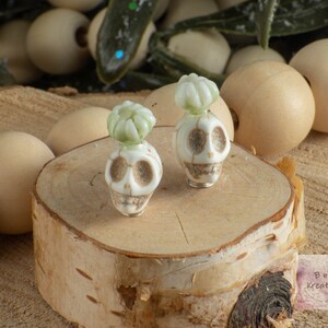 Miniature Potted Plant in Stone Skull with White Plant Puff for 1:12 Scale Dollhouse Miniature