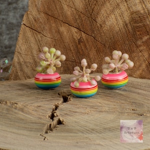 May include: Three miniature rainbow-colored pots with small green plants inside. The pots are arranged on a wooden surface. The text "BNB Kreations" is visible in the lower right corner of the image.
