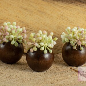 Miniature Potted Plant in Dark Wood Pot with Fluffy Plant for 1:12 Scale Dollhouse Miniature