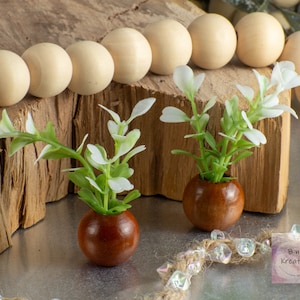 Miniature Potted Plant in Mid Toned Wood with Leafy Green & White Plant for 1:12 Scale Dollhouse Miniature