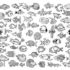 64 handgetekende vissen als digitale PNG graphics / + EPS vector bestanden / cliparts ook voor commercieel gebruik