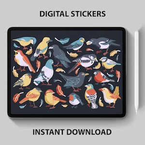 Peut inclure: Une feuille d'autocollants numériques présentant une variété d'oiseaux colorés avec différents motifs et designs. Les oiseaux sont disposés de manière aléatoire sur un fond sombre. Le texte "DIGITAL STICKERS" est en haut de la feuille et "INSTANT DOWNLOAD" est en bas.