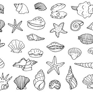 Può includere: Una collezione di disegni in bianco e nero di conchiglie, stelle marine e altri oggetti a tema oceanico. I disegni sono semplici e fantasiosi, e sarebbero perfetti per l'uso in una varietà di progetti creativi.