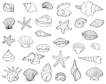 29 handgezeichnete Muscheln & Seesterne als digitale PNG-Grafiken / + EPS Vektor-Dateien / Cliparts auch für kommerzielle Nutzung